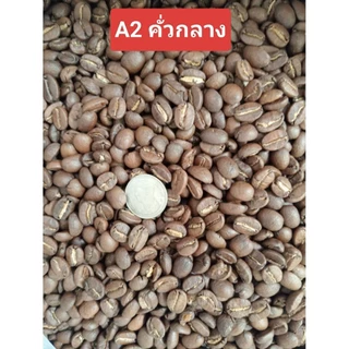 กาแฟพิเศษ เกรดA กลิ่นไวน์ Wine Flavour Coffee ภูชี้เดือน เชียงราย Anearobic Process