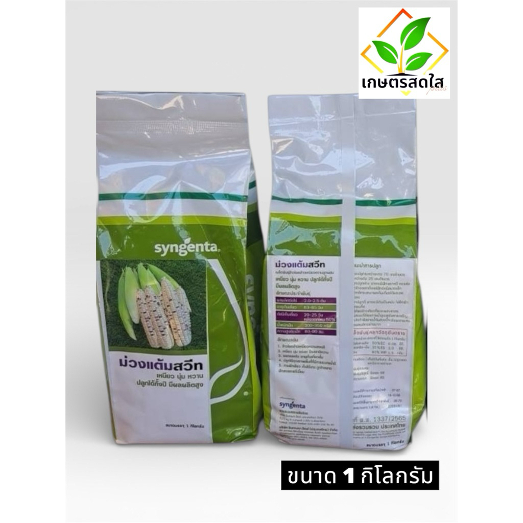 ข้าวโพดเหนียวหวาน ม่วงแต้มสวีท (Syngenta) *ขนาด 1 กิโลกรัม ปลูกได้ตลอดปี ฝักสด ขนาดกำลังพอดี เหมาะกับตลาดสด