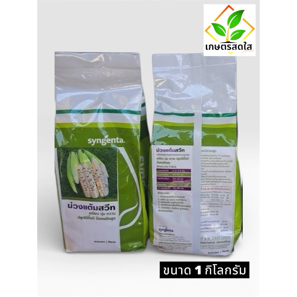 ข้าวโพดเหนียวหวาน ม่วงแต้มสวีท (Syngenta) *ขนาด 1 กิโลกรัม ปลูกได้ตลอดปี ฝักสด ขนาดกำลังพอดี เหมาะกับตลาดสด