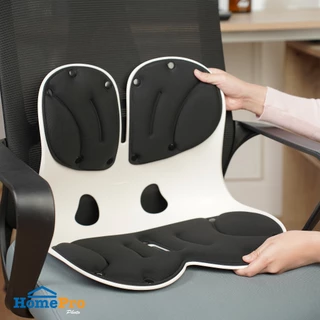 HOME LIVING STYLE เบาะรองหลัง ERGONO 17x13.5 นิ้ว สีดำ จัดส่งโดย HomePro