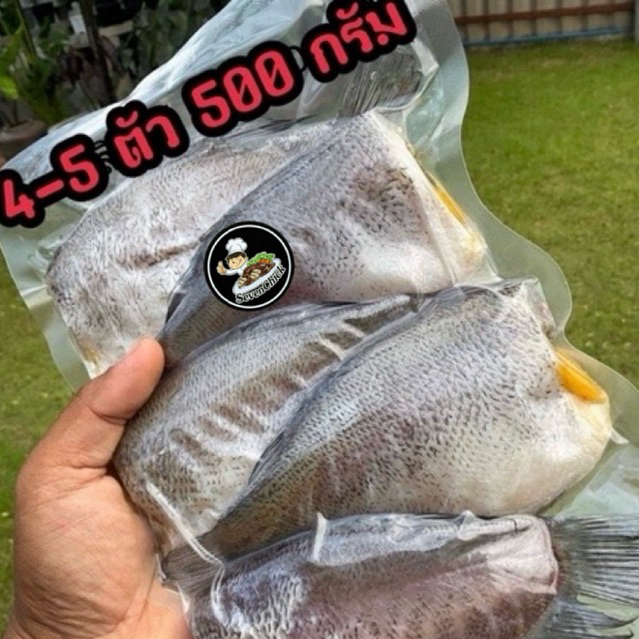 ปลาสลิดแดดเดียว ปลาสลิดบางบ่อ ทำสดใหม่สะอาด