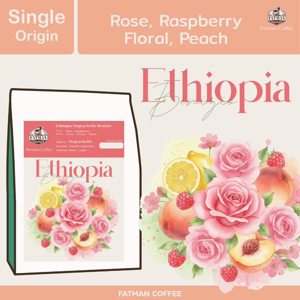 เมล็ดกาแฟคั่วอ่อน Ethiopia Yirgracheffe Benizio (Raspberry)