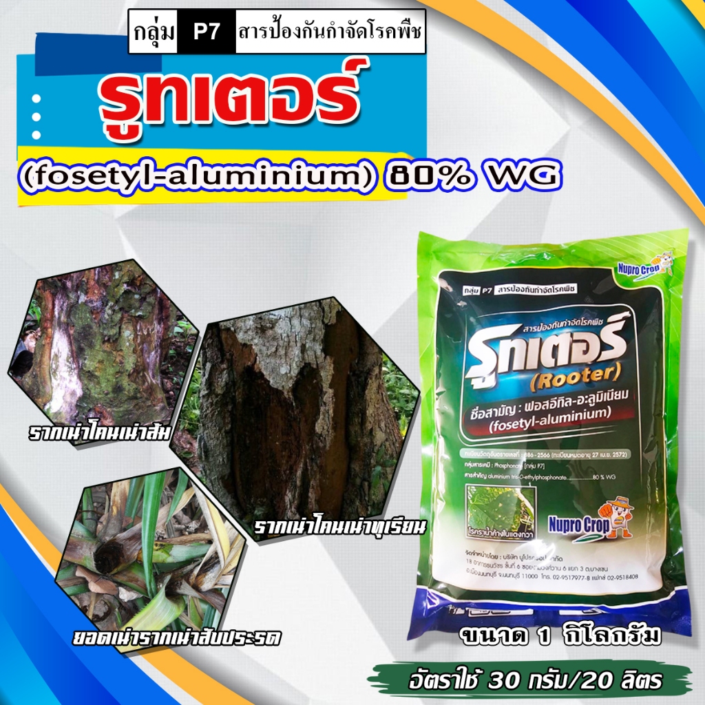 รูทเตอร์ ฟอสอีทิล อะลูมิเนียม-Fosetyl-aluminium (1 กิโลกรัม) สารป้องกันกำจัดโรคพืช ล้างเชื้อโรคในดิน ยอดเน่า โรครากเน่า
