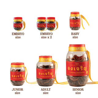 JONGJAROEN เครื่องหอมจงเจริญ รวมทุกขนาดในตะกร้าเดียว หอมผ่อน…