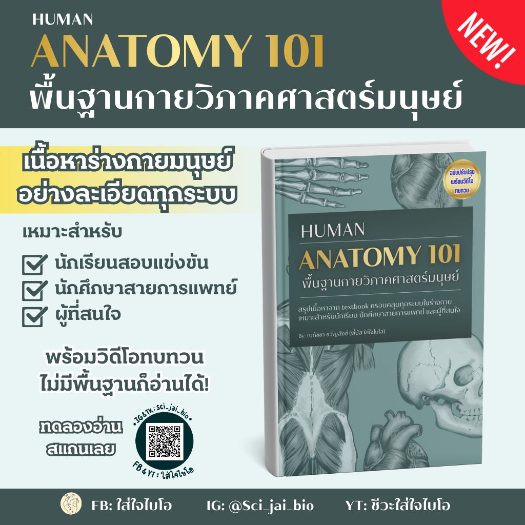 NEW! หนังสือกายวิภาคศาสตร์มนุษย์ [Basic human anatomy] ฉบับปรับปรุง