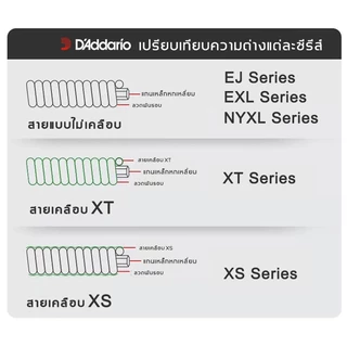 D'Addario EXL Nickel Wound สายกีต้าร์ไฟฟ้า Electric Guitar Strings เต่าแดง