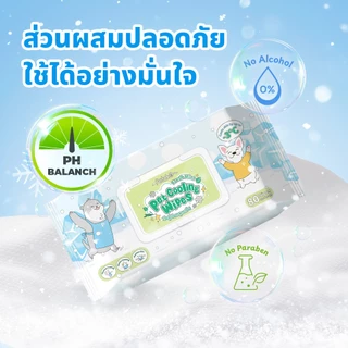Petcho ทิชชู่เปียก ทิชชู่เปียกสูตรเย็นสำหรับสัตว์เลี้ยง แผ่นหนา คลายร้อน ลดอุณหภูมิผิว Pet Cool Wipes
