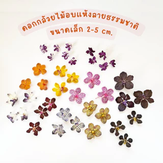 Prosco | ดอกกล้วยไม้อบแห้ง ลายธรรมชาติ ขนาดเล็ก 2-5 cm. สำหรับงานเรซิ่น จิวเวอรี่ craft พร๊อพถ่ายรูป