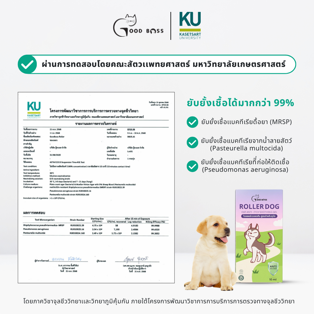 Goodboss SET ดูแลผิวสุนัข พ่นทั่วตัว Dog Spray + Roller Dog | ลดเชื้อรา ยีสต์ ลดคัน ลดขนร่วง สูตรธรรมชาติ ราคา ถูกที่สุด ดีลบีเคเค แกลเลอรีภาพที่ 6