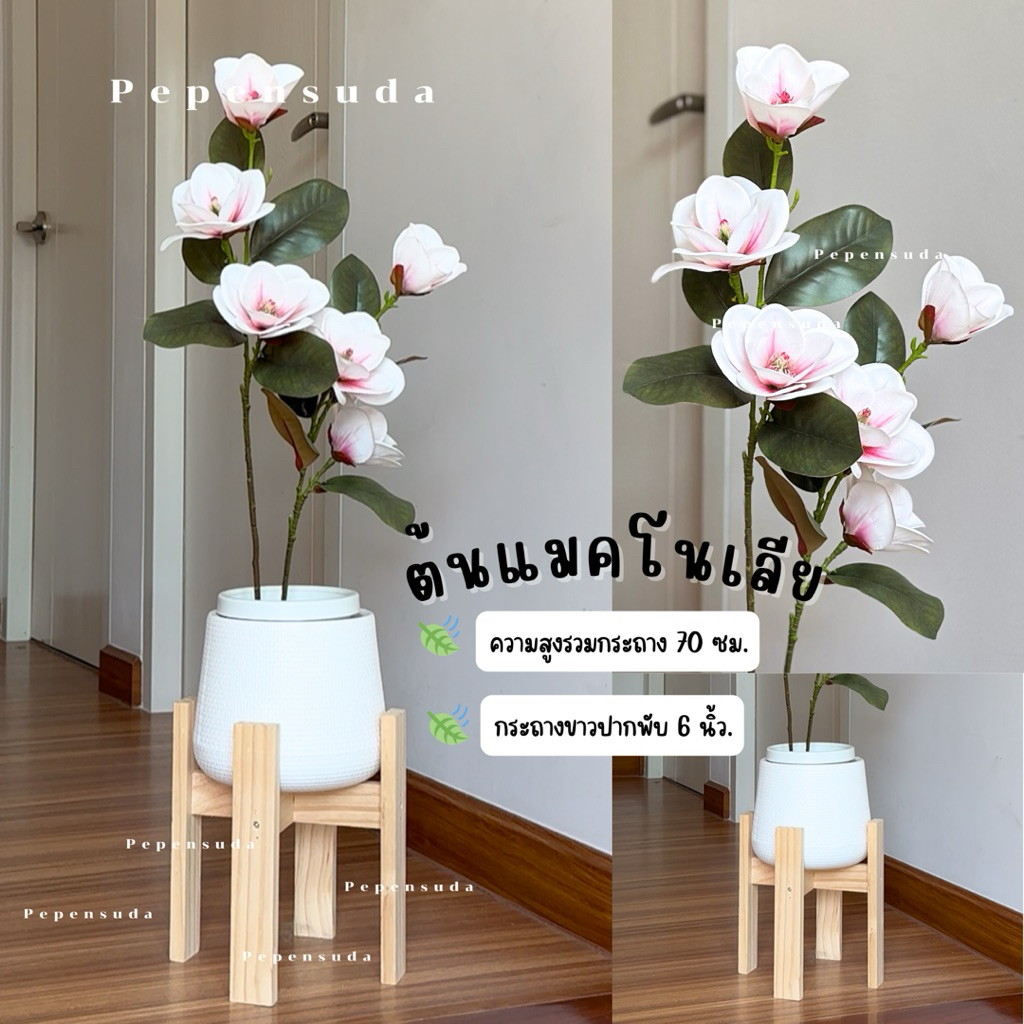 [ออกใบกำกับภาษีได้] ต้นแมกโนเลีย(MAGNOLIA) 🌷เสมือนจริง สูง 70 ซม. พร้อมส่งจากไทย สวยมากๆ