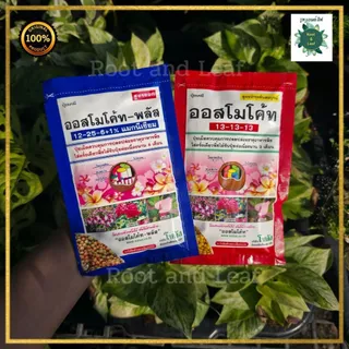 ปุ๋ยออสโมโค้ทพลัส ขนาด 100 กรัม สูตรบำรุงต้นให้สมบูรณ์และสูตรบำรุงดอก ปลดปล่อยธาตุอาหารอย่างสม่ำเสมอ