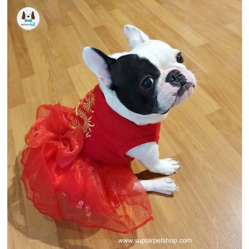 BIG DOG ชุดจีนหมาใหญ่ เสื้อและกระโปรงตรุษจีน  มีผ้าไหมมังกร ผ้าเฟอร์นุ่ม รองรับอก 38 นิ้ว พร้อมส่ง - รูปที่ 5