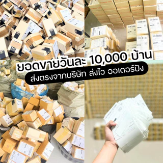 [ตะกร้าเจ้าของแบรนด์] น้ำหอมแบรนด์ Enchant คละกลิ่น Winni FredและLove potion หอมตลอดวัน หอมหรูหรา