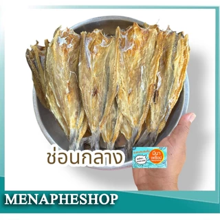 ปลาแห้ง ปลาช่อนทะเลตากแห้ง อาหารทะเลแห้ง สดใหม่ จากระยอง