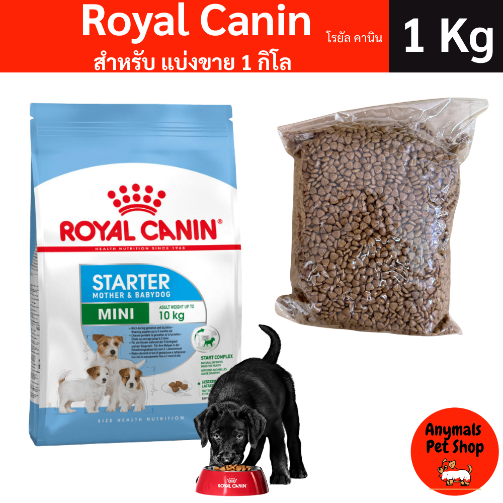 (แบ่งขาย 1 kg) Royal canin Mini starter อาหารแม่สุนัขและลูกสุนัขพันธุ์เล็ก แพคถุงใส่ 1กก