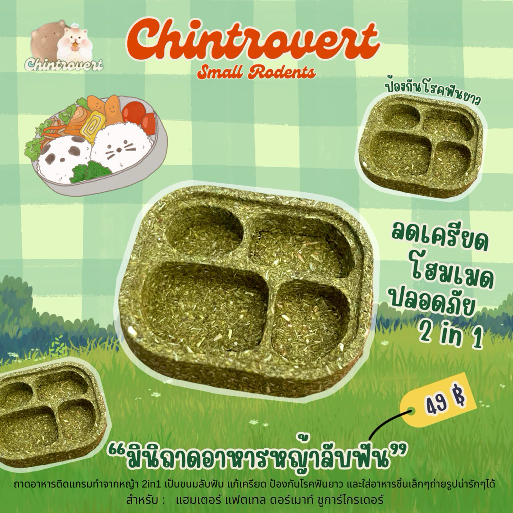 Chintrovert ✨| มินิถาดอาหารหญ้าลับฟันโฮมเมด 2in1 สำหรับแฮมเตอร์ ดอร์เมาท์ แฟตเทล