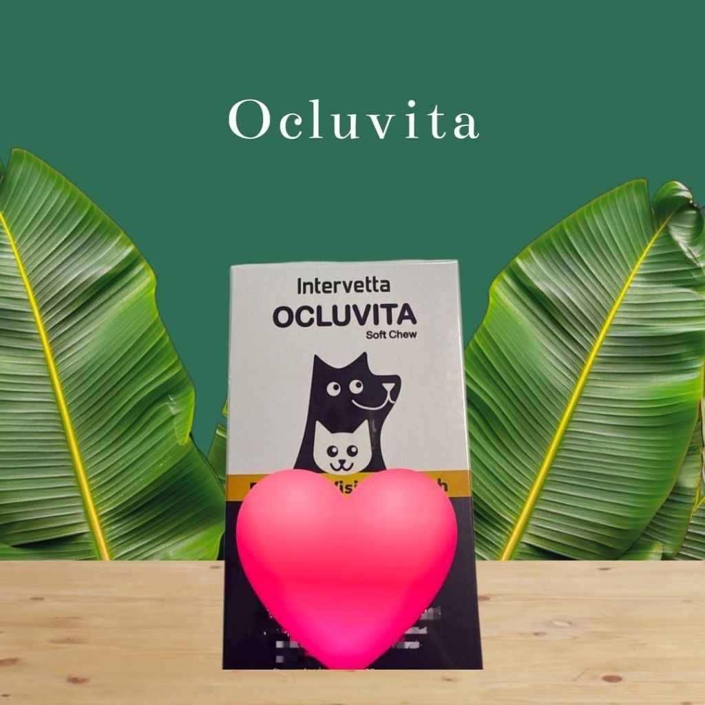 🐕‍🦺 Ocluvita soft chew (30 เม็ด) 🐈