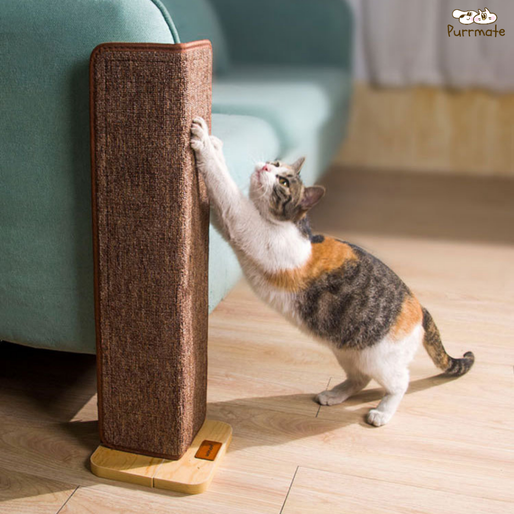 ที่ลับเล็บเข้ามุมโซฟา ที่ฝนเล็บแมวเข้ามุม ของเล่นแมว Cat Scratch Board Scratcher corner sofa