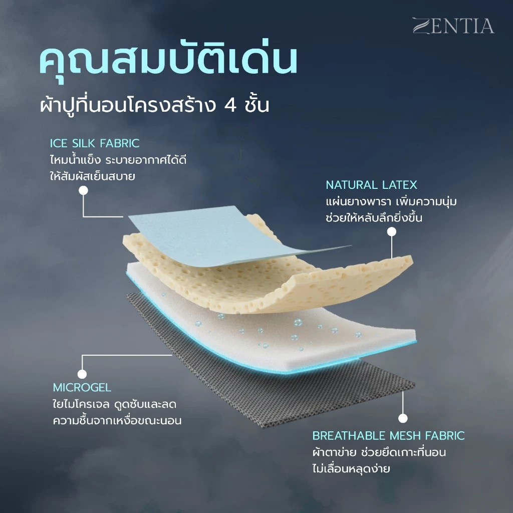 ZENTIA ผ้าปูที่นอนยางพาราไหมน้ำแข็ง thumbnail 3