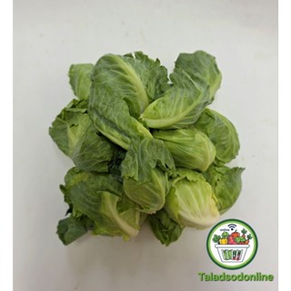 แขนงกะหล่ำ สด สะอาด รับประกันคุณภาพ