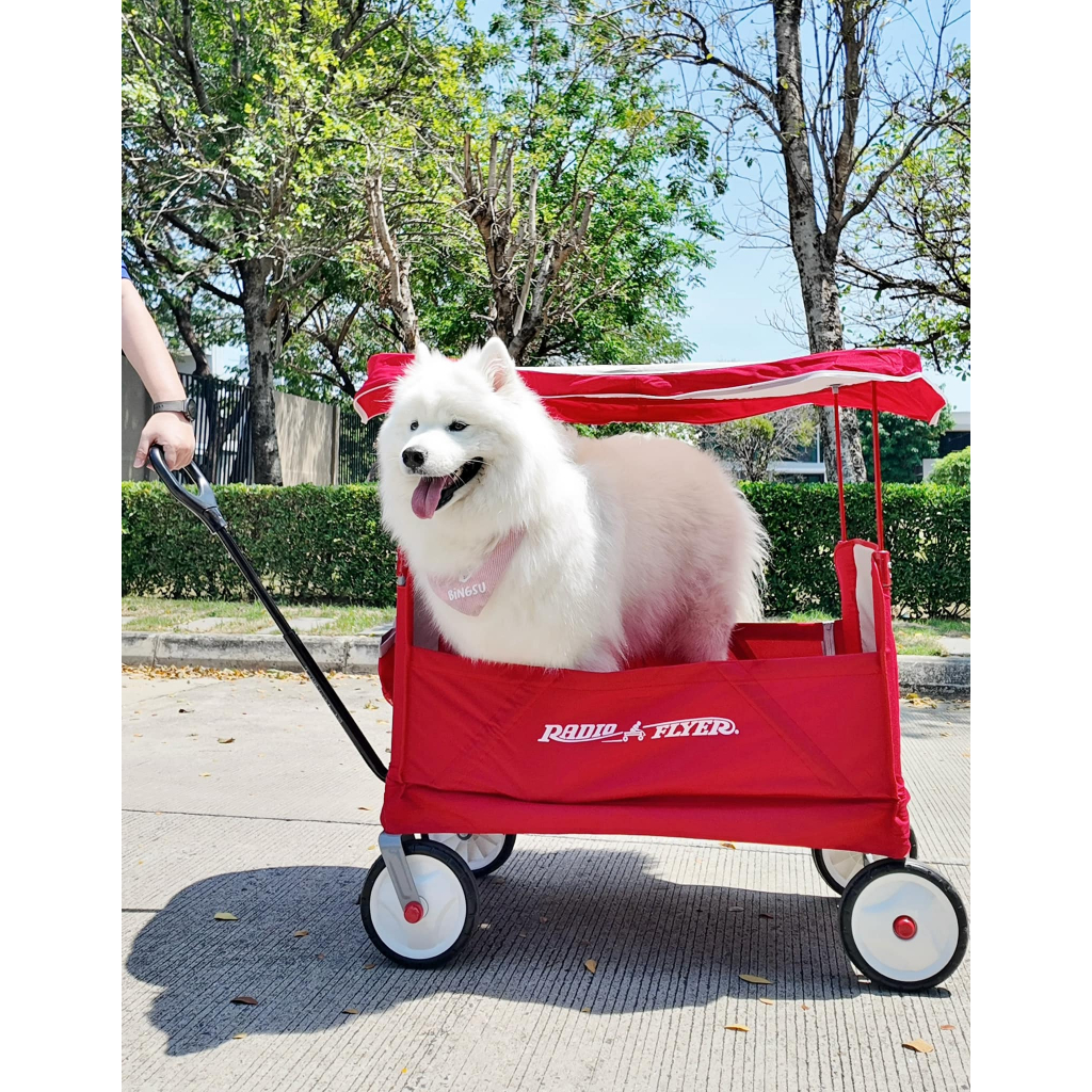 Radio Flyer Wagon #3951Z