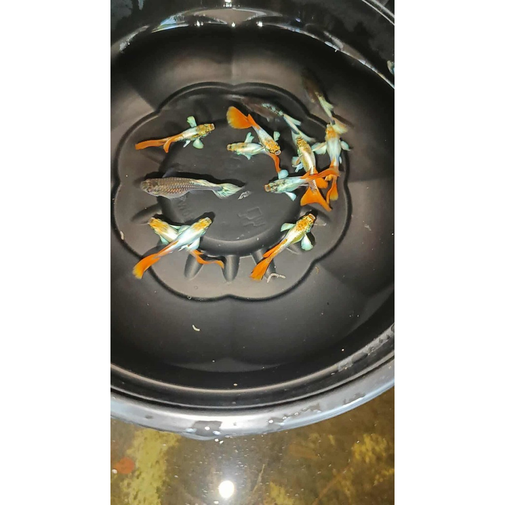 Thumbnail 9