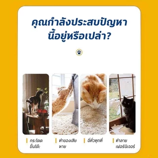 🔥นำเข้าจากเยอรมัน🔥ไล่แมว ก้อนไล่แมว ก้อนวางไล่แมว เครื่องไล่แมว 60ชิ้น มาขับถ่าย ขึ้นหลังคารถ ใช้ง่ายแค่วาง สูตรเข้มข้น