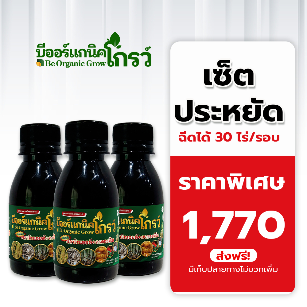 🔥[ โฉมใหม่ !! 3 ขวด] 🔥Be-Organic Grow บีออแกนิคโกรว์ อาหารเสริมพืช ลดปุ๋ย ลดยา ขนาด100 ซีซี รับประกันของแท้