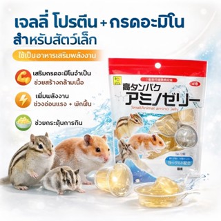 Sanko เจลลี่โปรตีน Amino Jelly สำหรับสัตว์เล็ก
