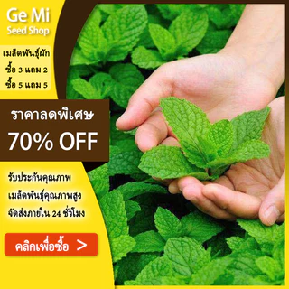 GEMI เมล็ดพันธุ์ สะระแหน่ สาระแหน่ เมล็ดเปปเปอร์มิ้น เปเปอร์มิ้น 1000 เมล็ด