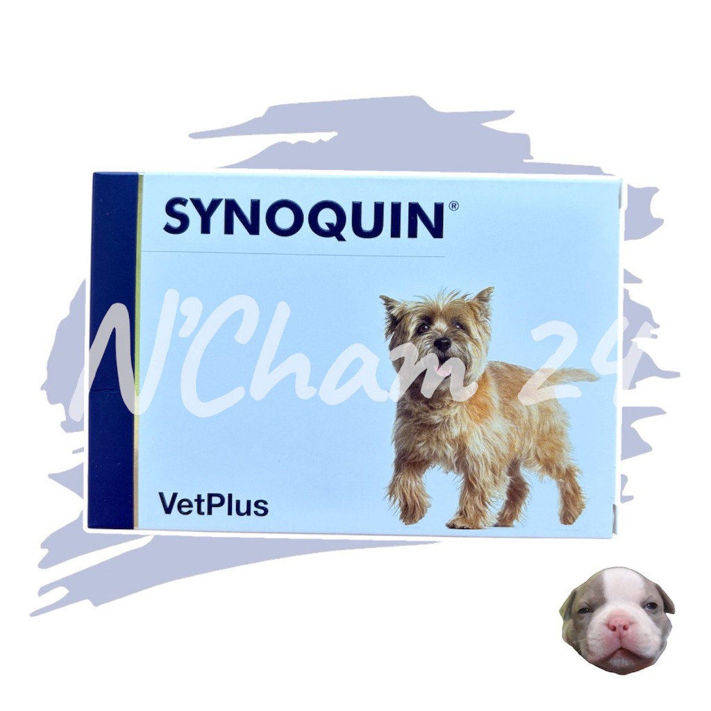 Synoquin EFA Small Breed แพ็คเกจใหม่ อาหารเสริม บำรุงข้อ สำหรับสุนัข พันธุ์เล็ก  บรรจุ 30 tabs