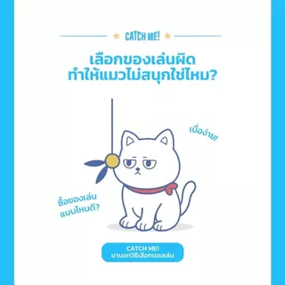 Catch Me! Cat Fishing Rod ไม้ตกแมว ไม้ล่อแมว 2 ท่อน เฉพาะไม้ตกไม่รวมหัว