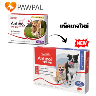 Antinol Dog ของแท้ 🔥 ล็อตใหม่ Exp.2028 อาหารเสริม บำรุงข้อ ลดอักเสบ ข้ออักเสบ สุนัข แมว