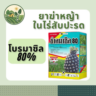 โบรมาซิล80% ตราฉลาม ขนาด1kg กำจัดวัชพืชในสับปะรด
