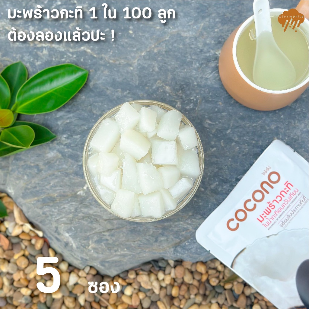 COCONO มะพร้าวกะทิ มาพร้อมกะทิในซองพร้อมทาน 5 ซอง