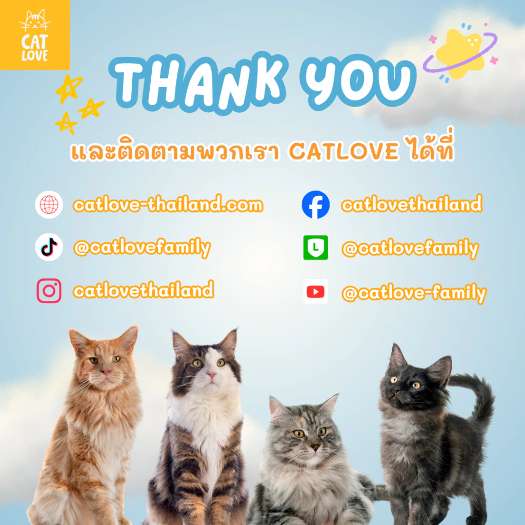 CATLOVE ที่ลับเล็บแมว 2in1 วงกลม-วงรี นอนและลับเล็บ กระดาษลูกฟูก thumbnail 10