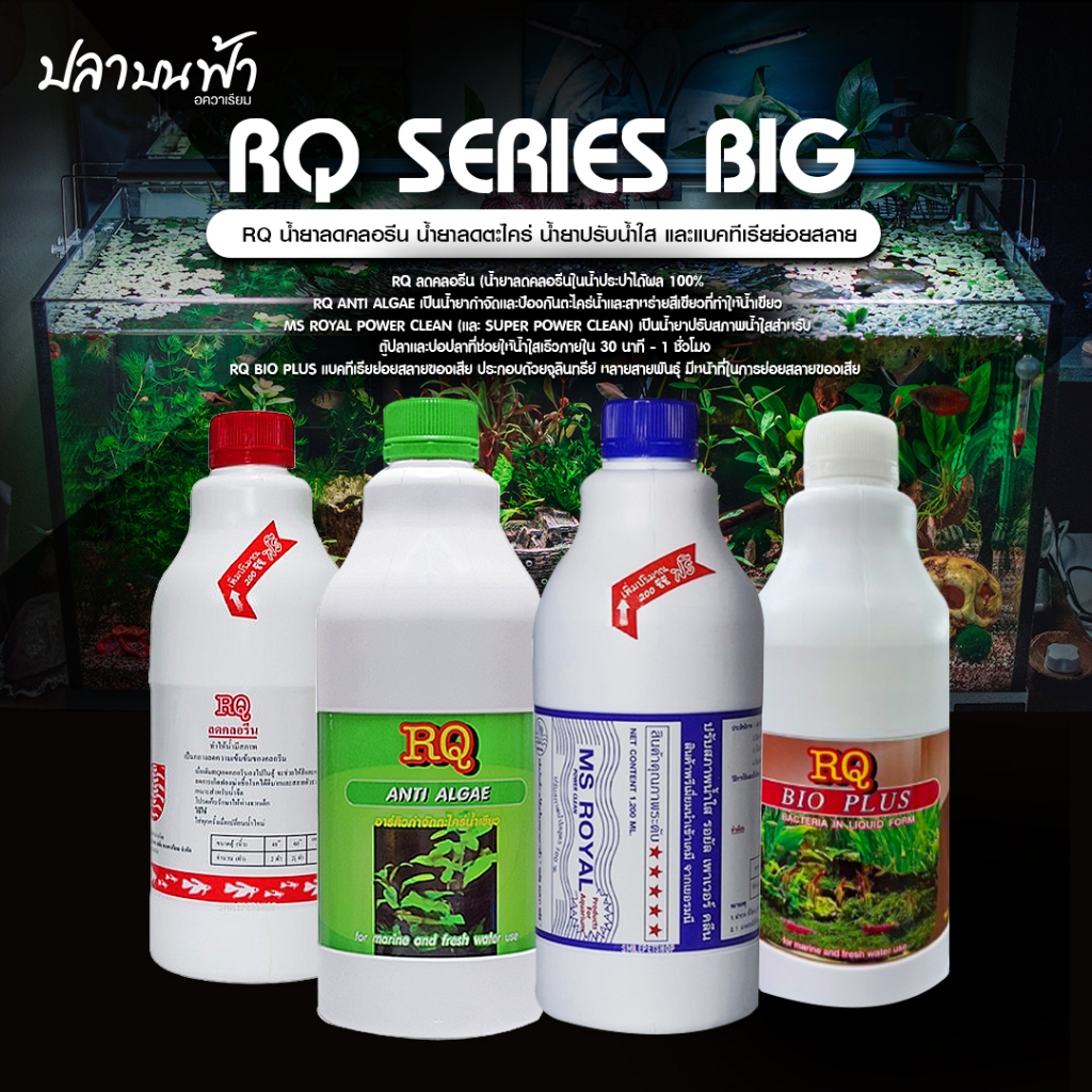 (ขวดใหญ่) RQ ลดคลอลีน RQ กำจัดตระไคร่ RQ Bio plus และ MS ROYAL POWER CLEAN ขนาด 1000 cc และ 1200 cc