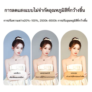 ✔[🇹🇭พร้อมส่ง🎁]ที่วางโทรศัพท์แม่เหล็ก Ring Light Video Rig รุ่นใหม่ ด้ามจับมือถือ พร้อมไฟ Led ในตัว สำหรับถ่ายภาพ Vlog