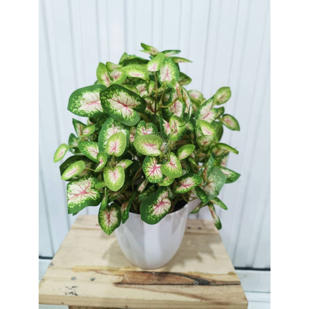 ต้นไม้ตั้งโต๊ะ พร้อมกระถาง***แถมหินฟรี “รุ่น Foliage แบบใหม่”  สูง 25-30 ซม.  ต้นไม้ปลอมตกแต่งบ้าน