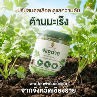 เครื่องดื่มชนิดผงจิงจูฉ่ายออร์แกนิค ดูแลความดัน (50กรัม/กระปุก)