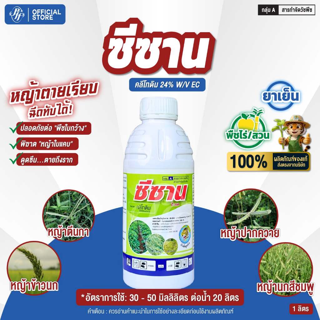 ซีซาน คลีโทดิม [1 ลิตร] หัวเสือ ยาลุยกำจัดหญ้าใบแคบทุกชนิด ปลอดภัยต่อพืชใบกว้าง มัน/ถั่ว/พริก/มะเขือ
