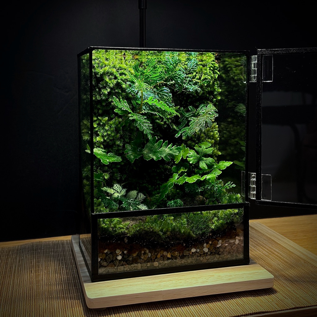 ✨พร้อมส่ง สวนขวด Moss wall and Ferns Terrarium ระบบปิด ของขวัญ ของแต่งบ้าน