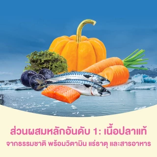เคลลี่แอนด์โค รอว์บูสพลัส อาหารสุนัขเม็ดเคลือบฟรีซดรายผสมฟรีซดรายชิ้นโต สูตรปลาทะเลธรรมชาติ 1.36 กก. (Grain-free)