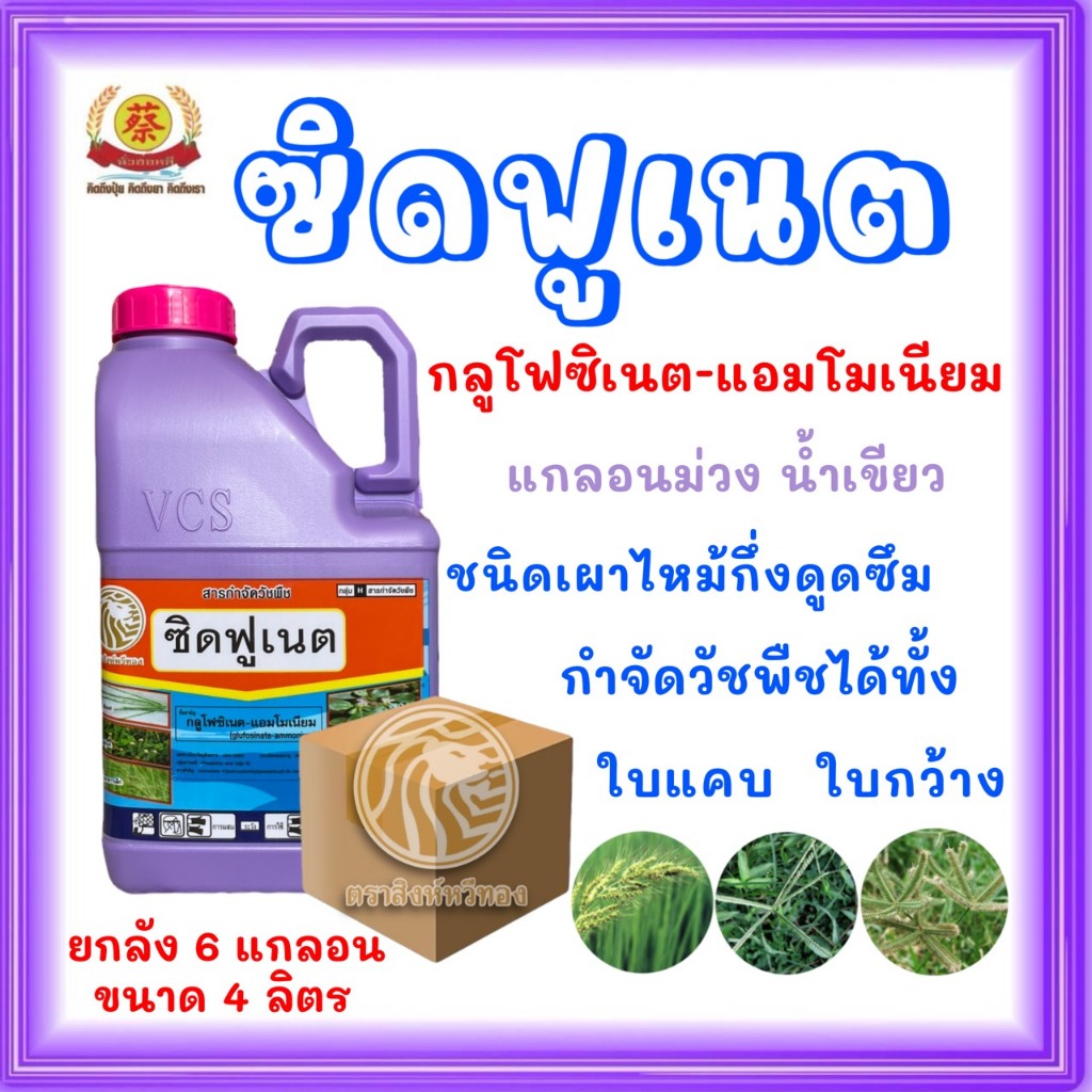 ซิตฟูเนตแกลลอนสีม่วง *ยกลัง6แกลลอน(กลูโฟซิเนตแอมโมเนียม)