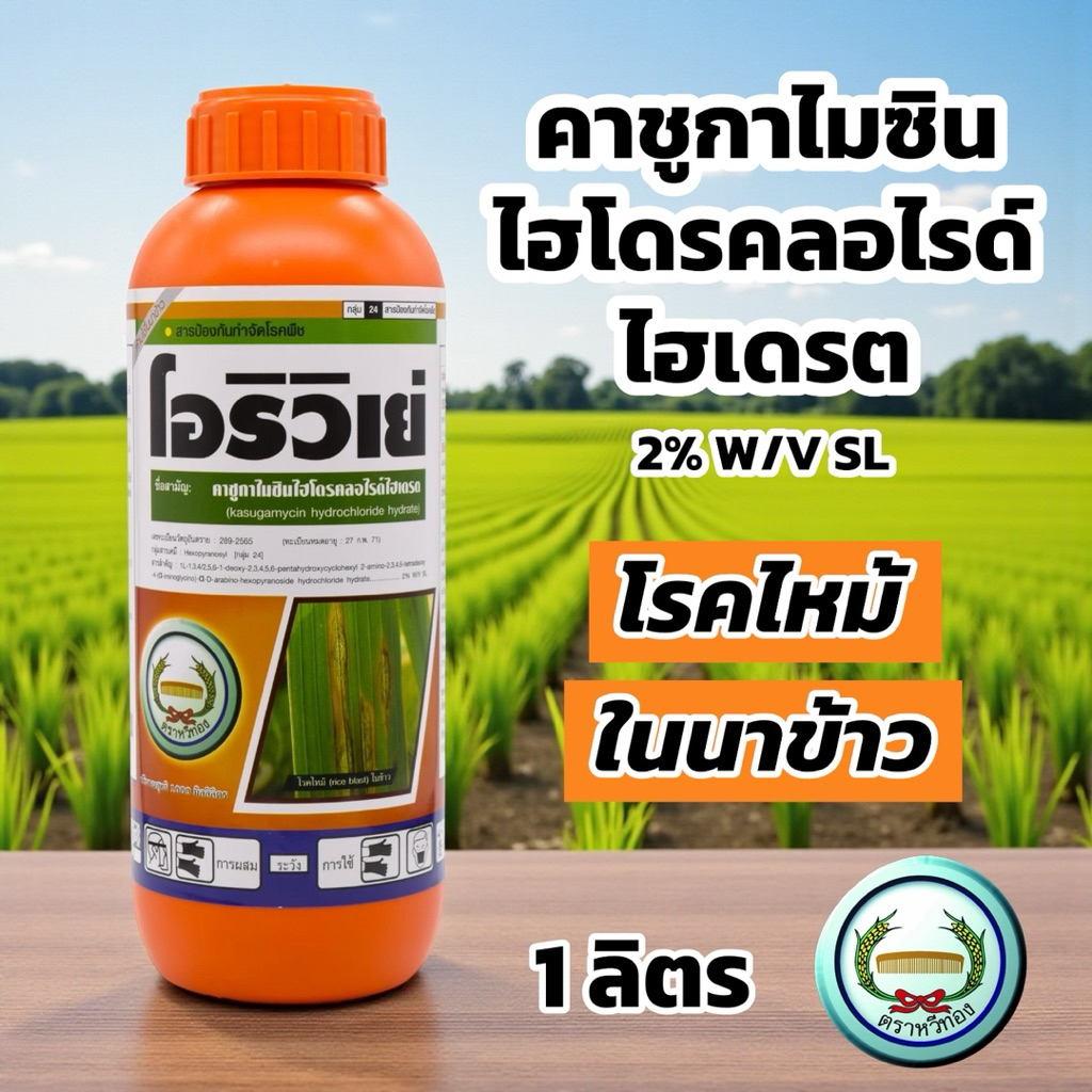 คาซูกาไมซิน (2%SL) 1 ลิตร โอริวิเย่ หวีทอง เชื้อรา โรคใบไหม้