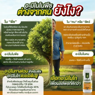 [2ขวด] อะมิโนโก(ขวดใหญ่) 1,000 ML - AMINO GO กรดอะมิโนสำคัญต่อพืช 19 ชนิด ปุ๋ยน้ำ ปุ๋ยกุหลาบ เร่งราก