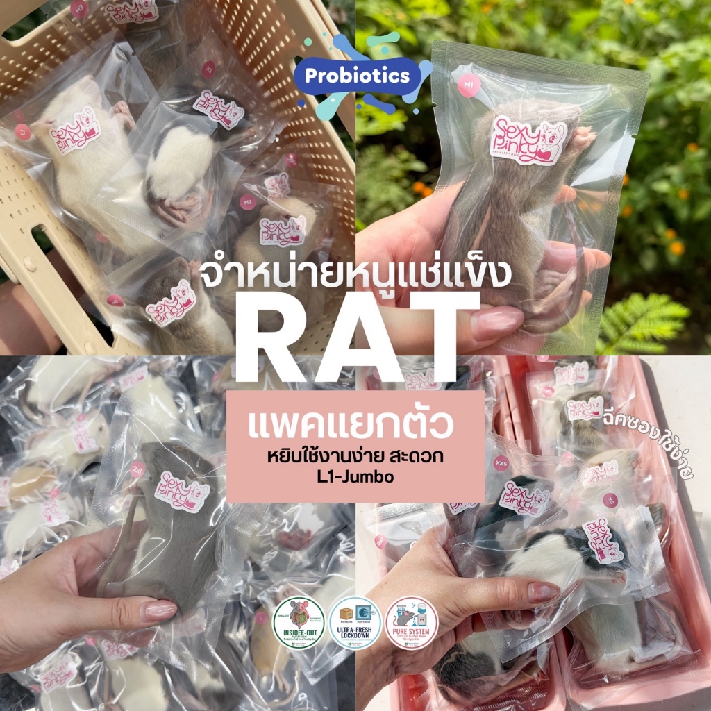 หนูแช่แข็ง อาหารงู แบบแพ็คเดี่ยว แพคแยกตัว | Frozen Rat L1-Jumbo หนูพรีเมี่ยม เสริมProbiotic
