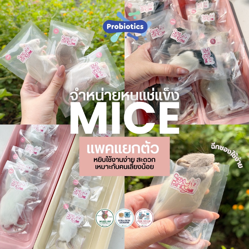 หนูแช่แข็ง อาหารงู แบบแพ็คเดี่ยว แพคแยกตัว | Frozen Mice หนูพรีเมี่ยม เสริมProbiotic
