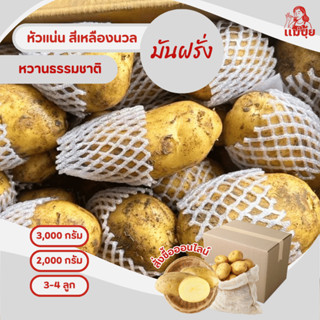 #มันฝรั่งสด หัวโตๆเน้นๆโดยแม่ปุ้ย สดทุกวัน หัวแน่นทุกถุง อร่…