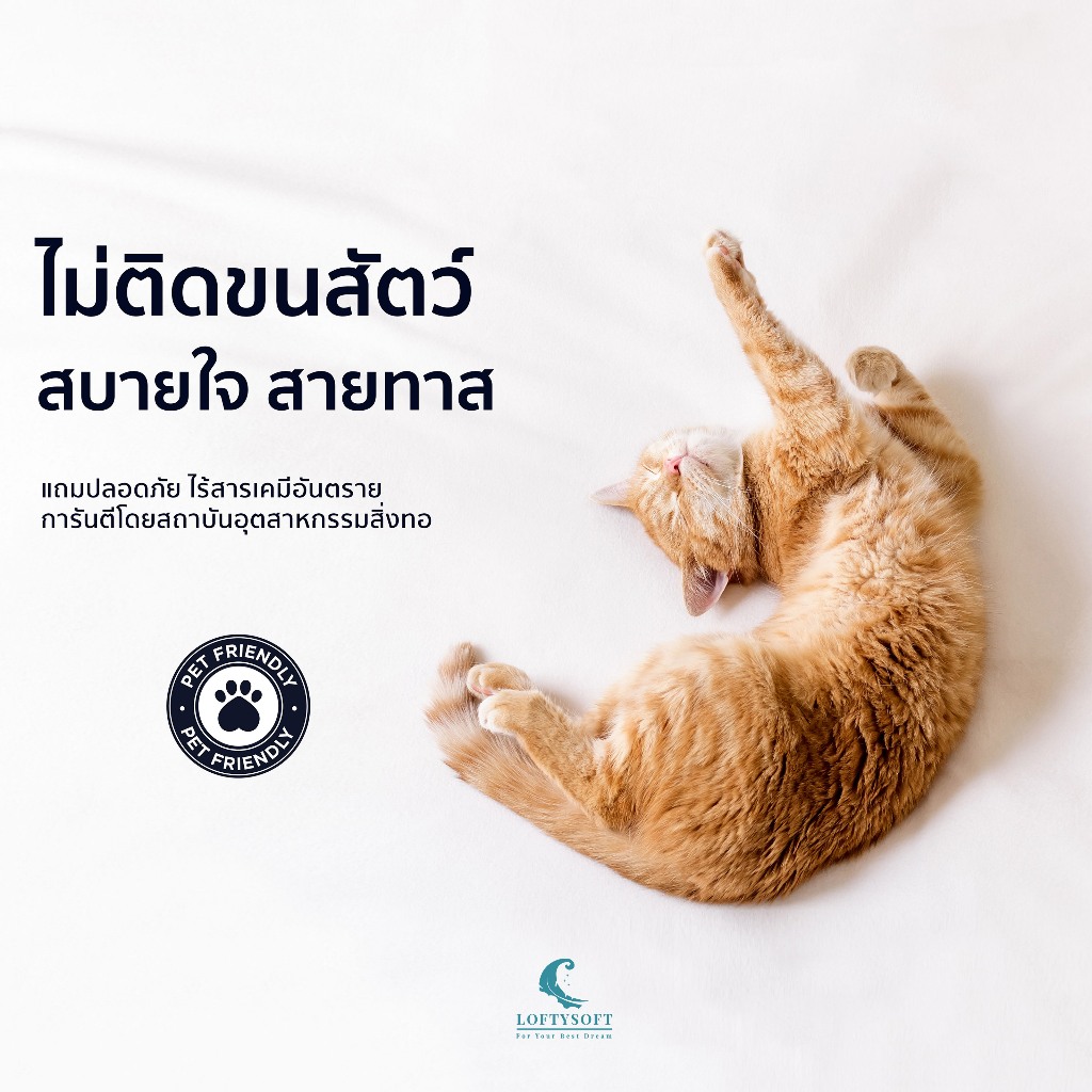 LOFTYSOFT ปลอกหมอน Cotton Silk 550 เส้นด้าย Elegance - Autumn Beige - รูปที่ 5